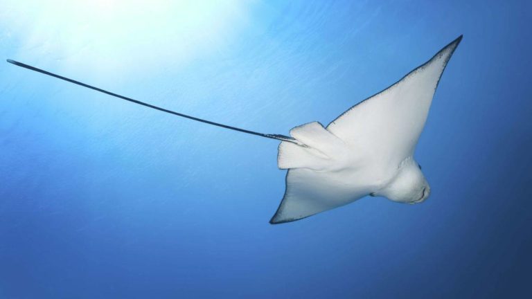 Как писать описания номеров, которые продают без пафоса